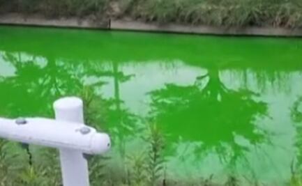 VIDEO: Río de Japón se tiñe de verde y desata preocupación entre los residentes