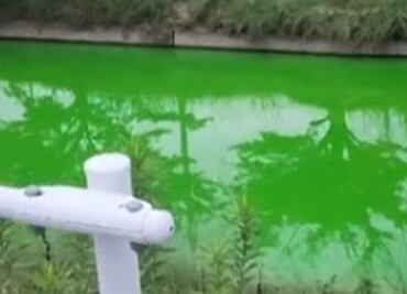 VIDEO: Río de Japón se tiñe de verde y desata preocupación entre los residentes