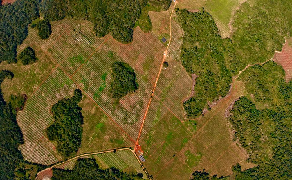 Foto: Cortesía Citrus Patrimonial