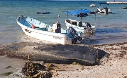 Marea roja avanza en puertos de Yucatán; gobierno suspende pesca y refuerza apoyos a pescadores