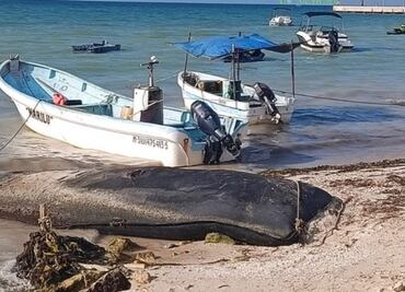 Marea roja avanza en puertos de Yucatán; gobierno suspende pesca y refuerza apoyos a pescadores