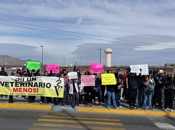 “Respeto y no violencia”: veterinarios marchan en los estados; exigen justicia por asesinato del médico Héctor Hernández