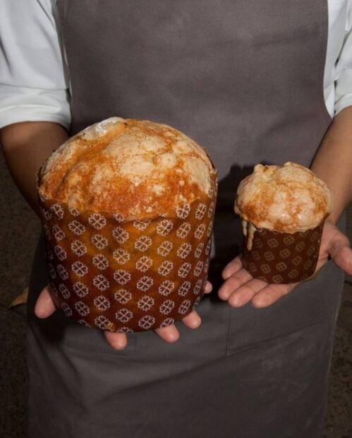 Dónde comprar panettone en la CDMX