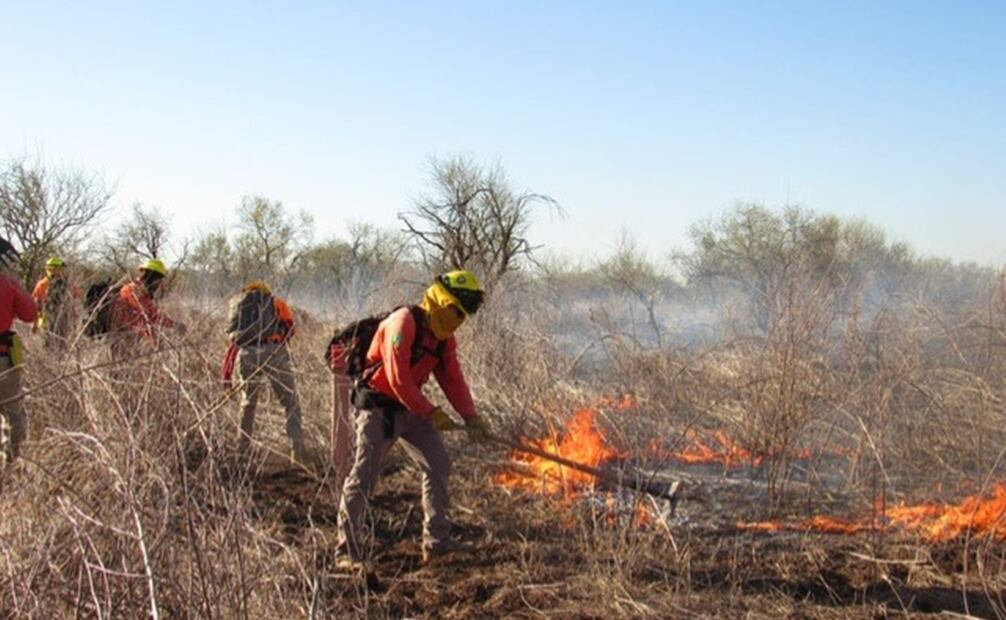 Personal de la Brigada Estatal de Manejo de Fuego de Sagarhpa y Protección Civil Sonora controlaron y liquidaron el incendio forestal que se presentó en el municipio de Quiriego. Foto: Protección Civil Sonora
