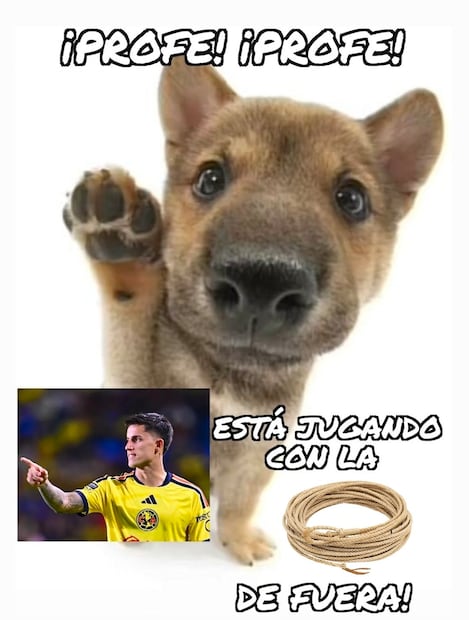 América Memes
