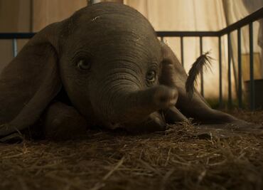 El "Dumbo" de Tim Burton ya tiene tráiler