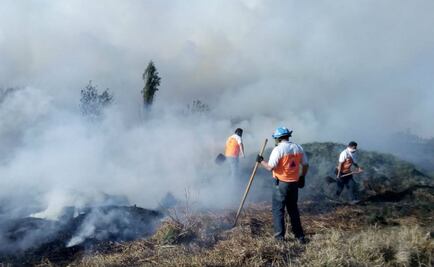  Controlan fuego en Parque Ecológico Xochimilco, sigue en Ciénega Grande