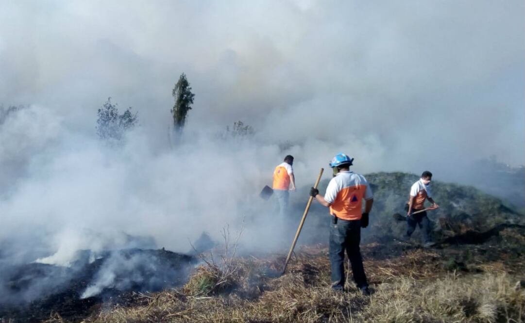 Foto: Tomada de la cuenta @SGIRPC_CDMX