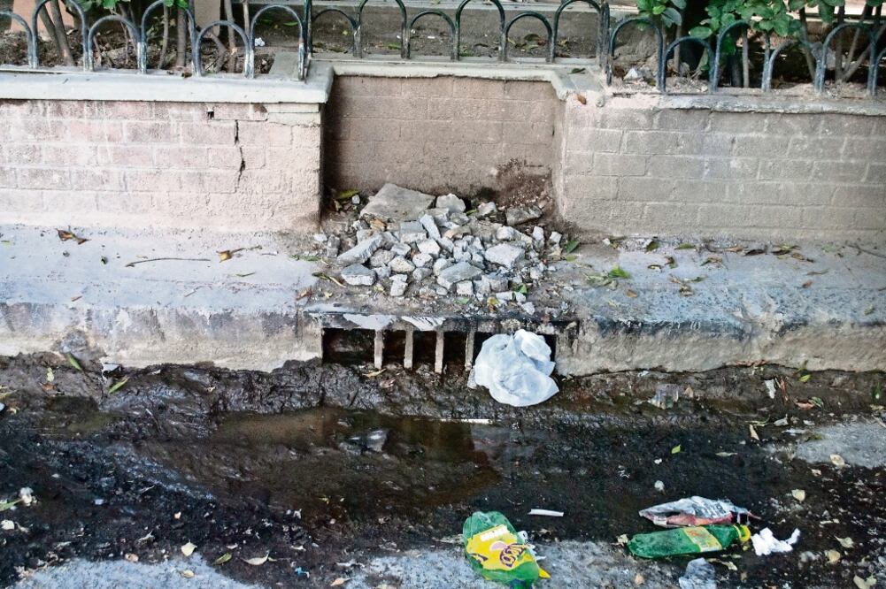 Esta colonia considerada con un gran valor histórico también presenta problemas de acumulación de basura en las calles. (JOSÉ ANTONIO TORRES. ELUNIVERSAL)