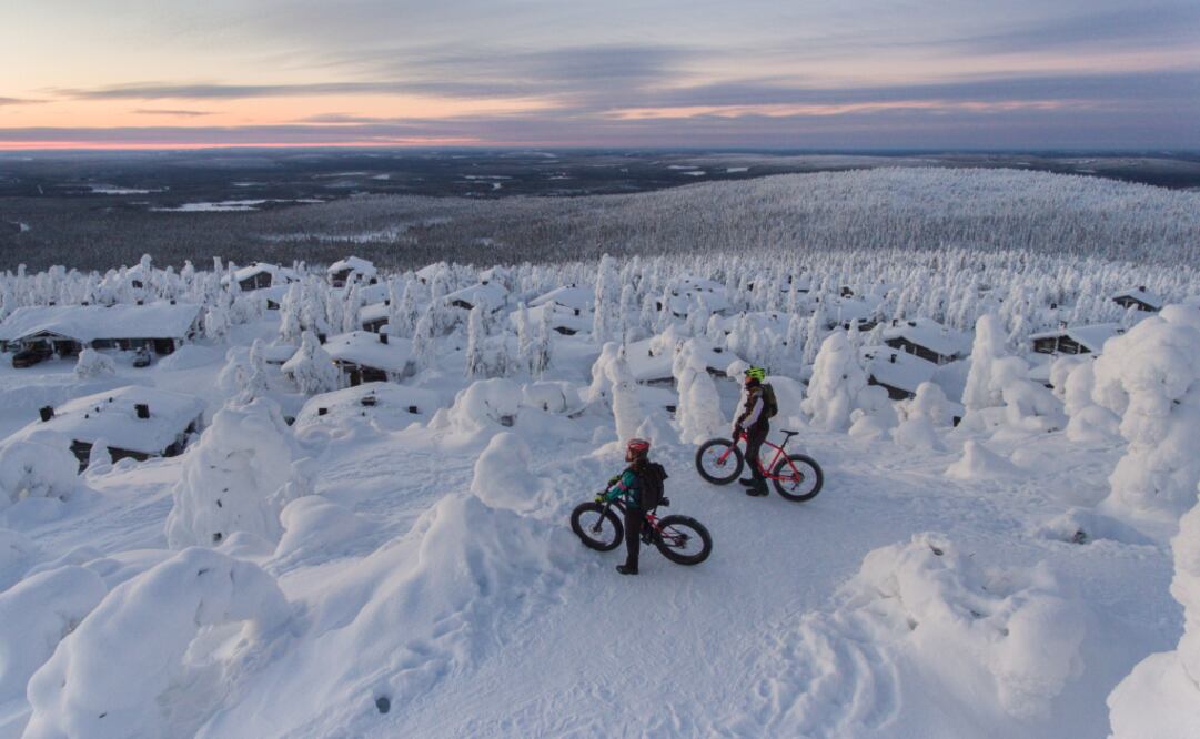 El 70% de Finlandia está cubierto por bosques. (Foto: Visit Finland)