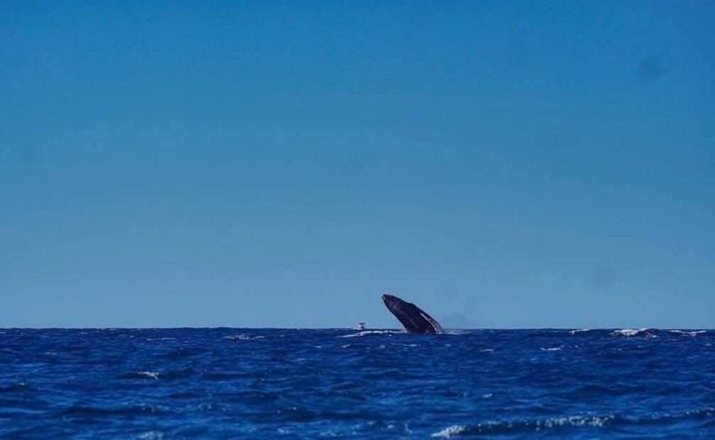 El fenómeno atrae a numerosos turistas y genera ingresos para la economía local a través de tours guiados por expertos. (11/01/25) Fotos: Gobierno de El Salvador y MARN