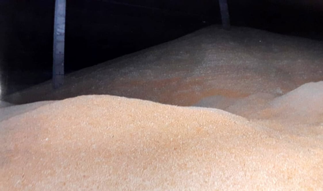 Asegura FGR 22 mil toneladas de maíz robado a tren en Jalisco