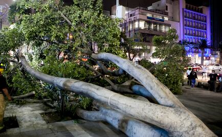 Activan Alerta Amarilla por pronóstico de vientos fuertes en las 16 alcaldías