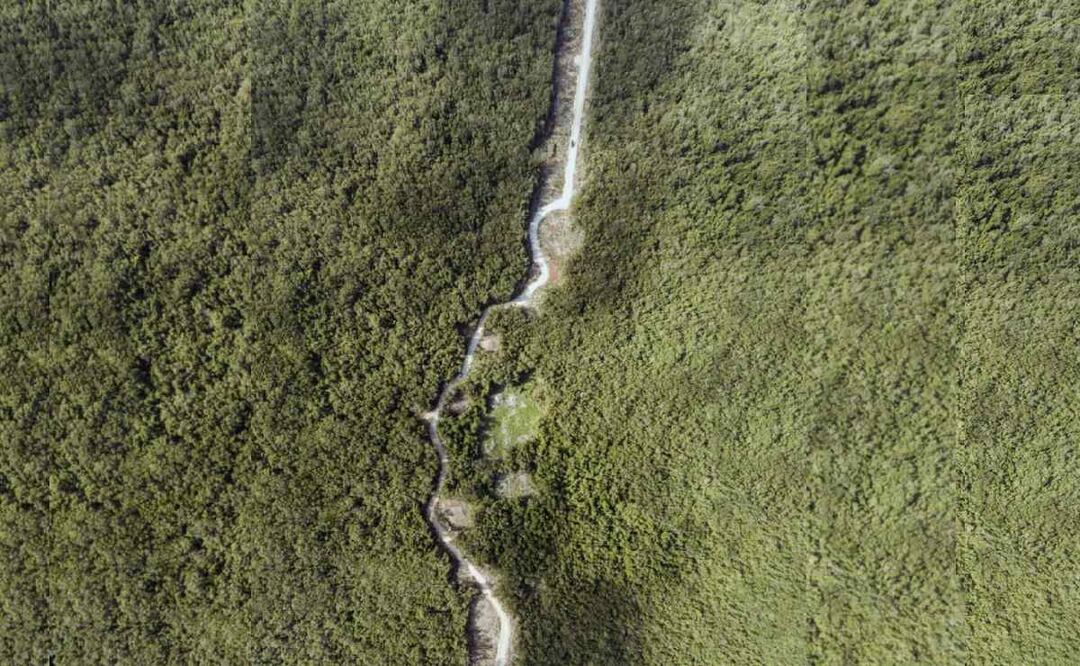 Obras del Tren Maya / Foto: Especial