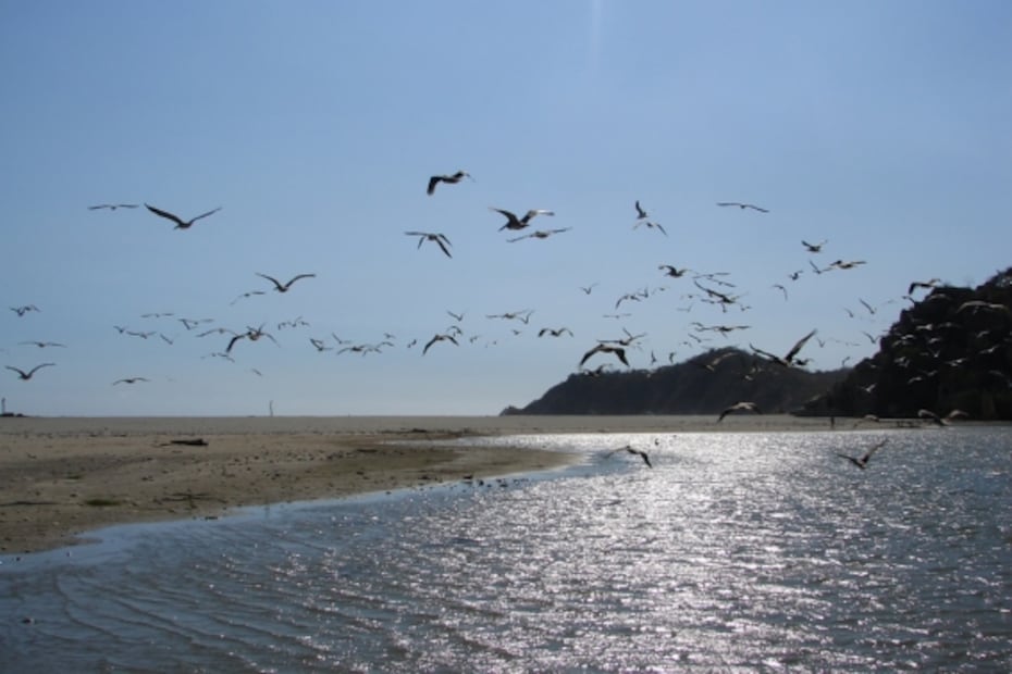 Camino Copalita: viaje de aventura de la sierra de Oaxaca a Huatulco