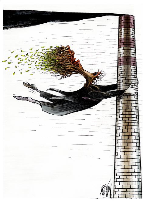 Cartón de BOLIGÁN
