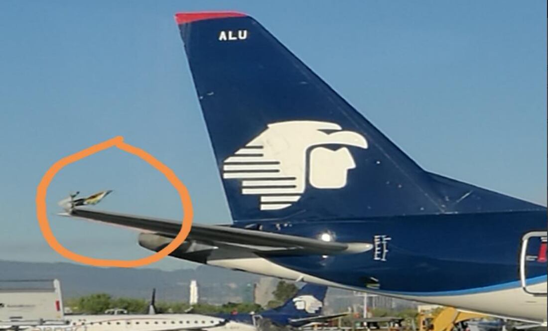 Foto tomada del Twitter de @Pepe_RG