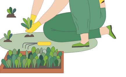 Empieza de manera sencilla tu huerto en casa