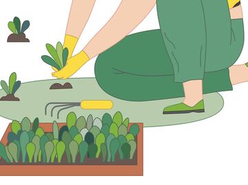 Empieza de manera sencilla tu huerto en casa