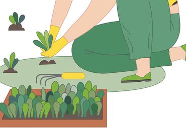 Empieza de manera sencilla tu huerto en casa