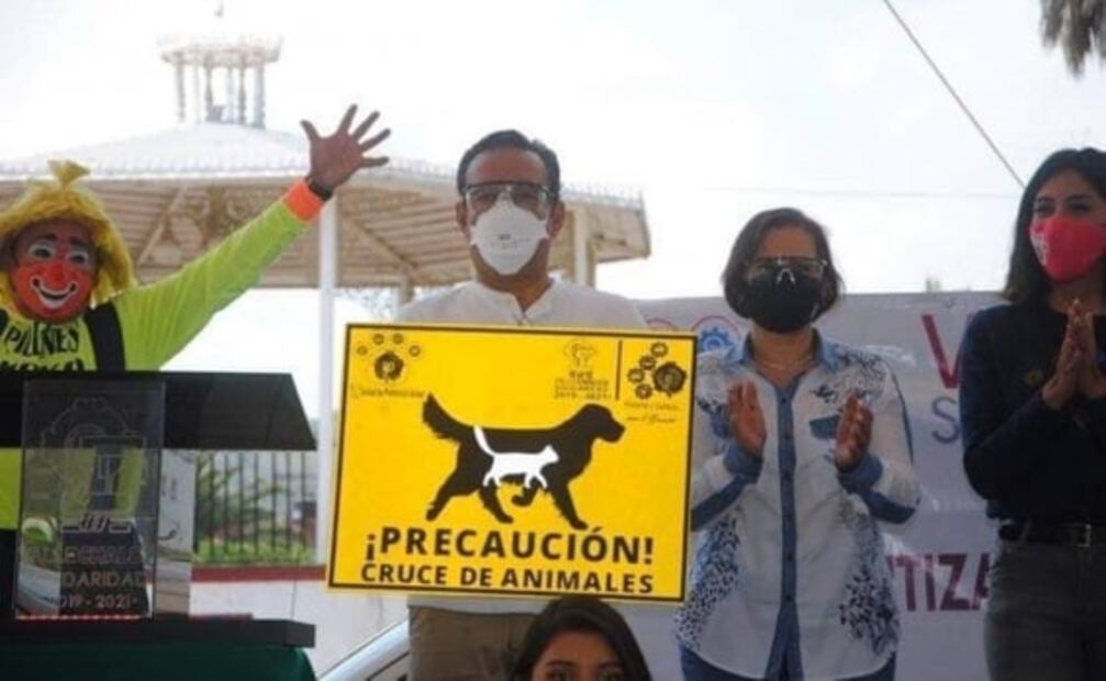 Valle de Chalco inicia campaña para adoptar mascotas tras crisis por Covid