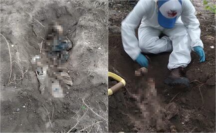 Colectivo Amor por los Desaparecidos en Tamaulipas descubren restos óseos en Reynosa