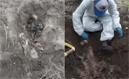 Colectivo Amor por los Desaparecidos en Tamaulipas descubren restos óseos en Reynosa