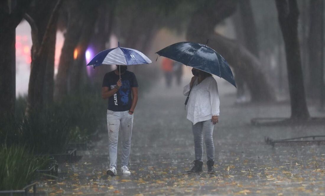 Imagen ilustrativa. Foto: EL UNIVERSAL