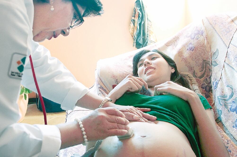 El informe de los estudiante de Harvard estará listo en dos semanas (ESPECIAL)