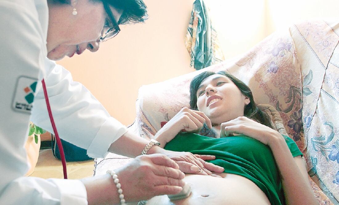 El informe de los estudiante de Harvard estará listo en dos semanas (ESPECIAL)