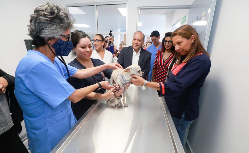 Hospital Veterinario en Venustiano Carranza podrá atender a 100 animales de compañía al día (25/08/2025). Foto: Especial