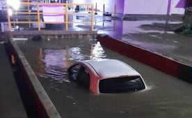 Lluvias y fuertes vientos dejan árboles derribados y vialidades inundadas en Culiacán; no se reportan lesionados
