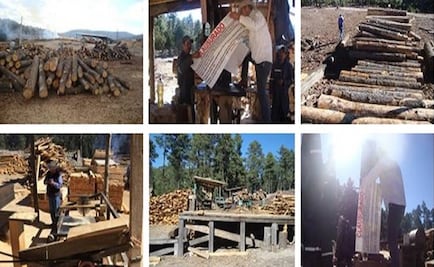 Clausuran aserraderos en Chihuahua y Durango