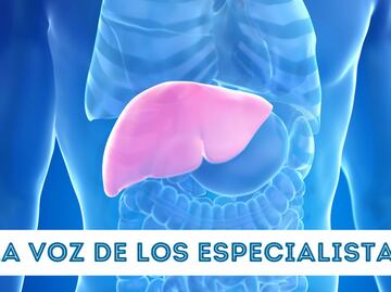 Del hígado graso a MASLD; la epidemia silenciosa que podemos prevenir
