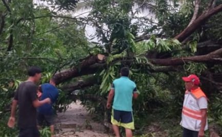 Fuertes lluvias dejan daños en puente y techos de 55 viviendas en Chiapas; reportan pérdidas en cultivos 