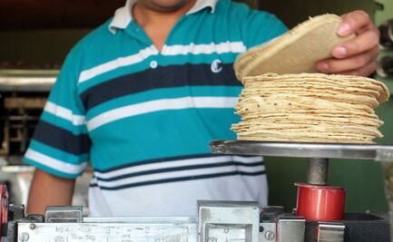 Profeco llama a no incrementar precio de la tortilla 