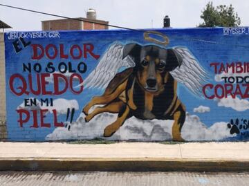 “Surge de la empatía y la solidaridad", dice artista de mural de Scooby, perrito arrojado a aceite hirviendo; VIDEO