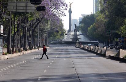 Habrá pantallas sobre Reforma para disfrutar concierto de Los Ángeles Azules: Sheinbaum 