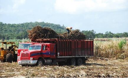 Mexico and US reach “agreement in principle” on sugar conflict