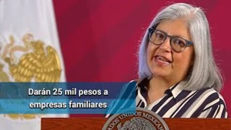 El 4 de mayo inicia entrega de créditos para pequeños negocios: SE