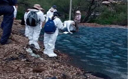 Catean empresa en Guanajuato por presunto delitos ambientales