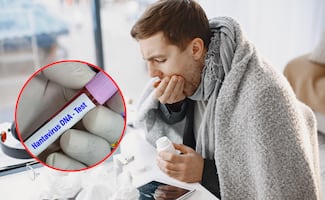 Brote de hantavirus: ¿cuáles son los principales síntomas del virus?; esto se sabe