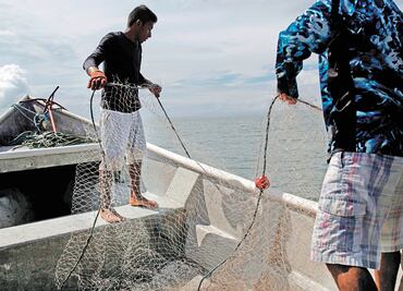 La pesca, una fuente de trabajo para 55 millones; celebran Día Mundial
