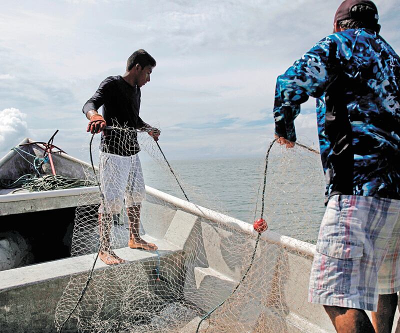 Según la ONU, hasta 800 millones de habitantes dependen de la producción y venta de mariscos. Foto: BIENVENIDO VELASCO. EFE