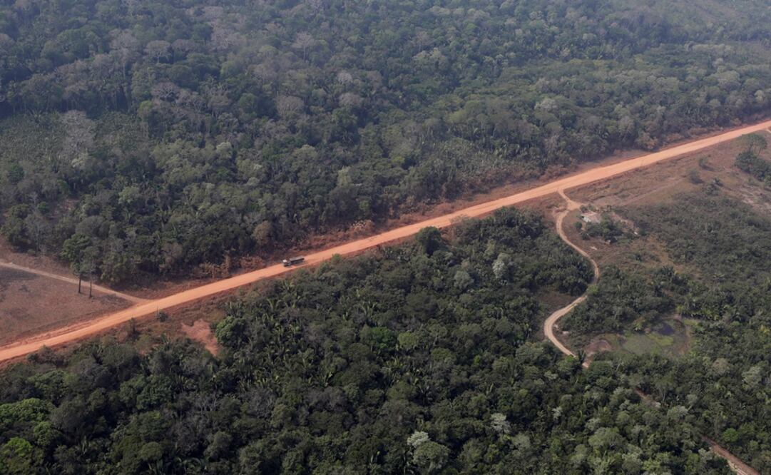 Amazonas (Foto: Reuters)