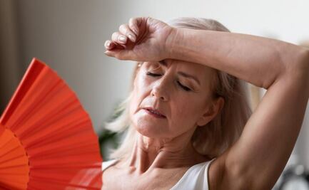 Estas son las plantas ideales para combatir los síntomas de la menopausia