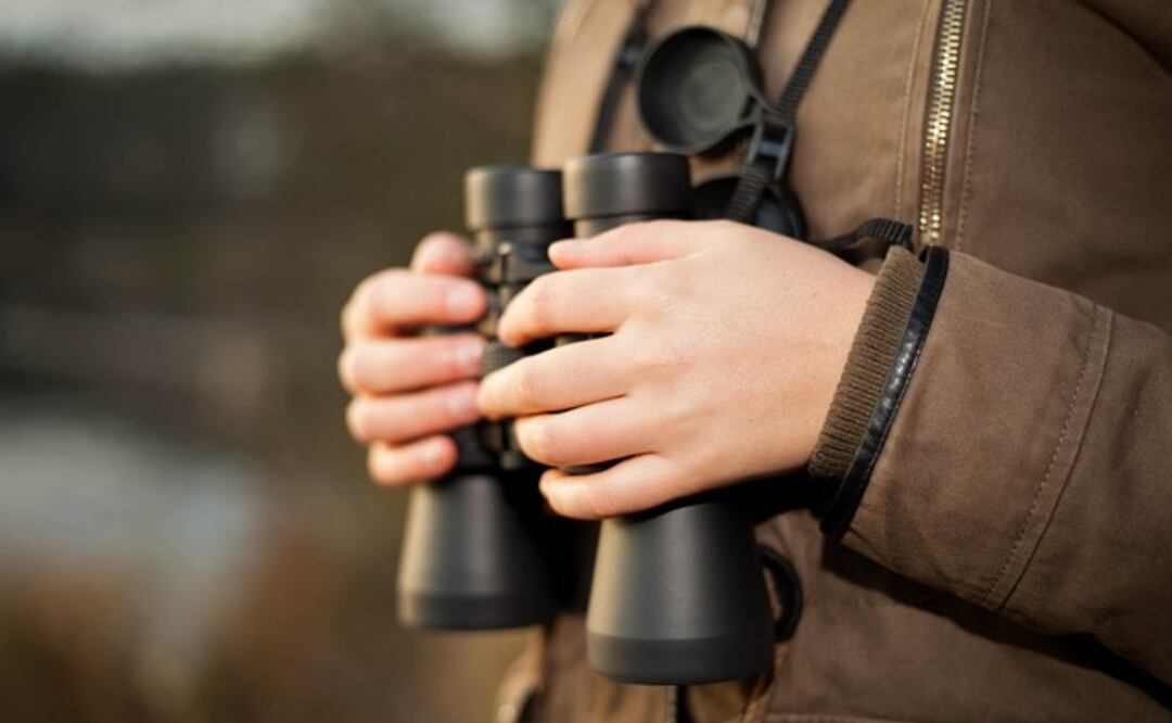 La alcaldía Benito Juárez colaborará con la Comisión de Búsqueda de Personas de la Ciudad de México. Foto: Pixabay