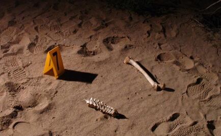 Suman 55 cuerpos localizados en fosas clandestinas de Mazatlán