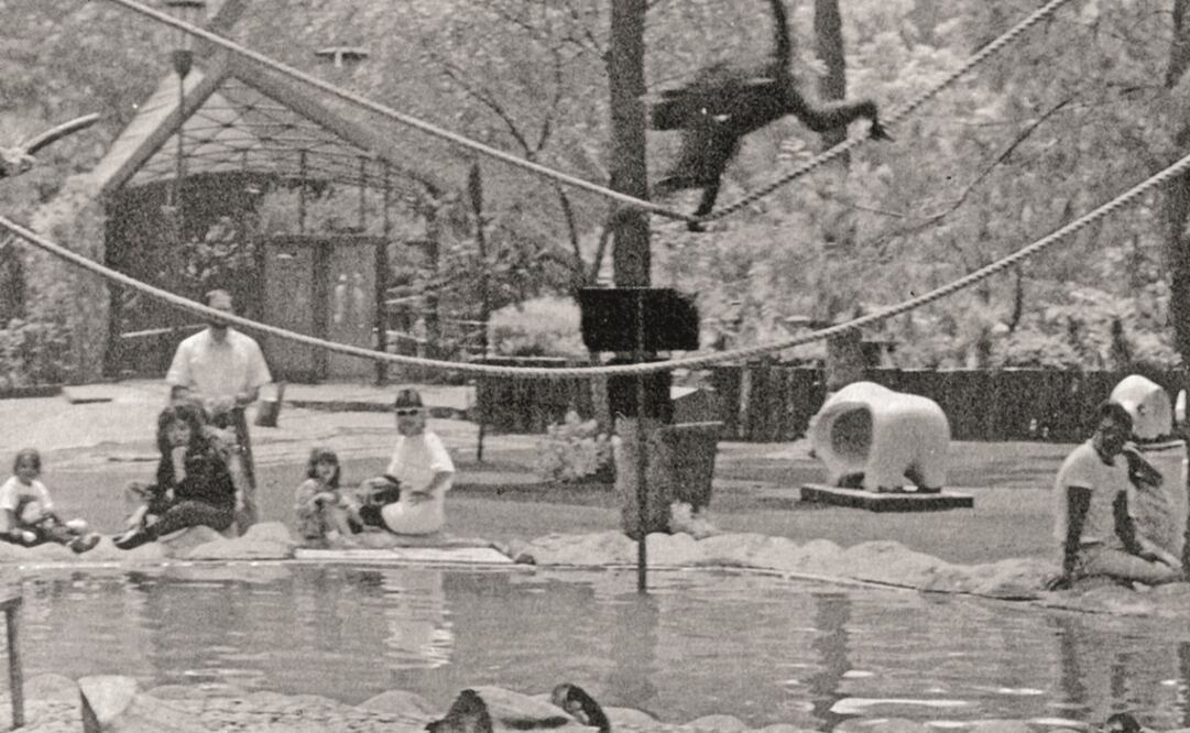 En la imagen, la gente se reúne en los alrededores de la isla de los changos para observar las diabluras y juegos que realizaban los monos araña. (COLECCIÓN VILLASANA-TORRES)