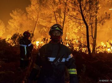 Ola de calor desata incendios forestales y muerte masiva de peces en Europa